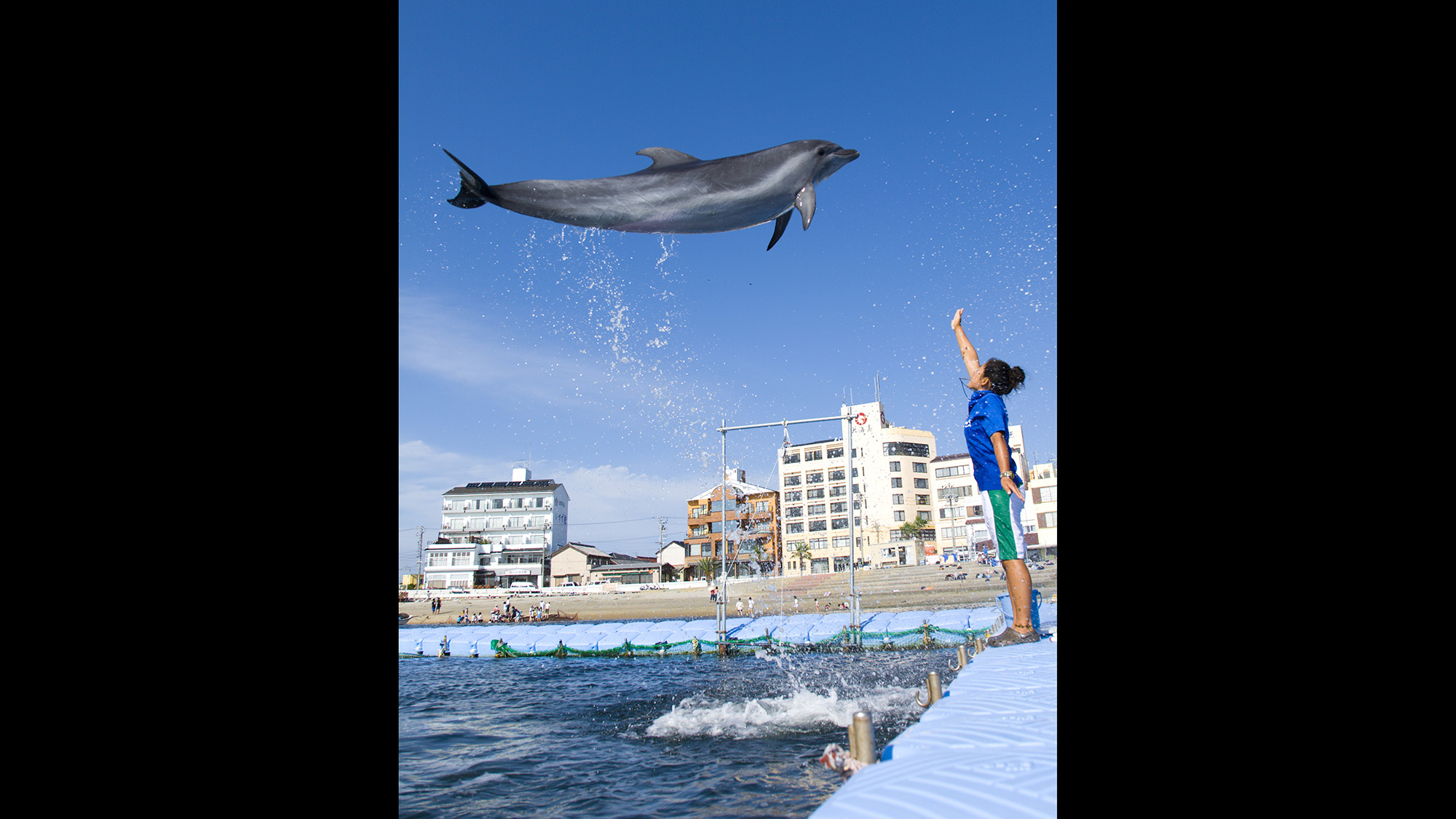 *6月～8月末までイルカに会えます。