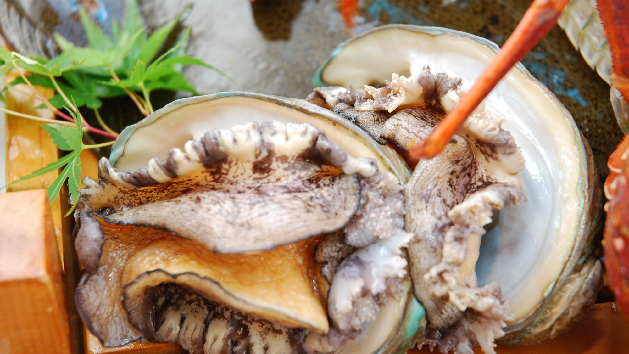 *鮑はお刺身か鮑ステーキからお選びいただけます♪ 