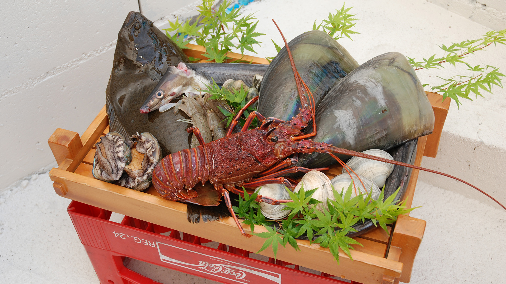 *その日にとれた新鮮な魚介！