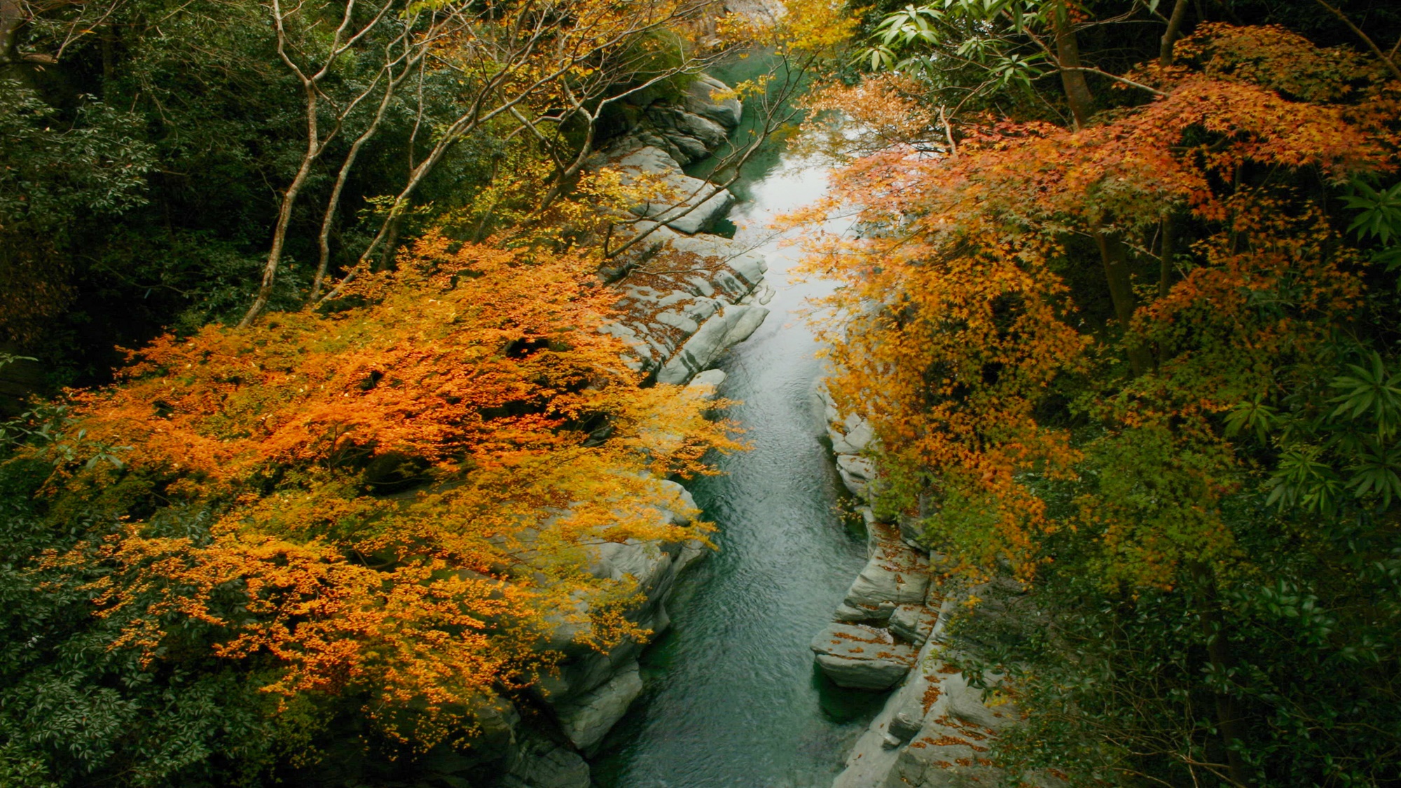 *【周辺観光/秋】土釜の紅葉