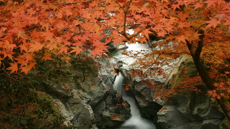 *【周辺観光/秋】土釜の紅葉