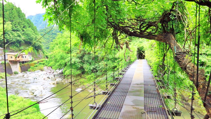 *【ふじかずら橋】当館横のふじかずら橋！ ※通行不可※