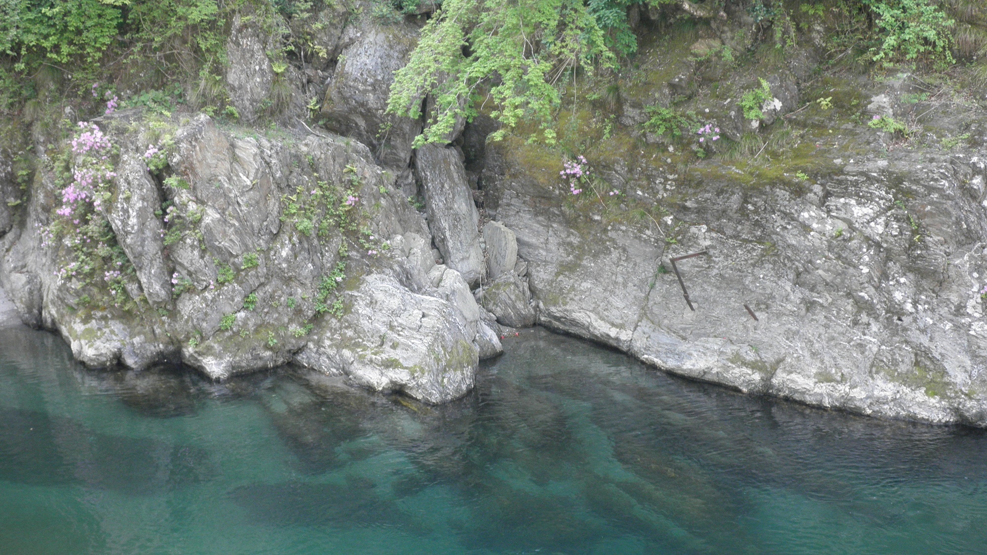 *【貞光川の清流】宿沿いの貞光川の清流のせせらぎを聞きながらのんびり滞在を♪