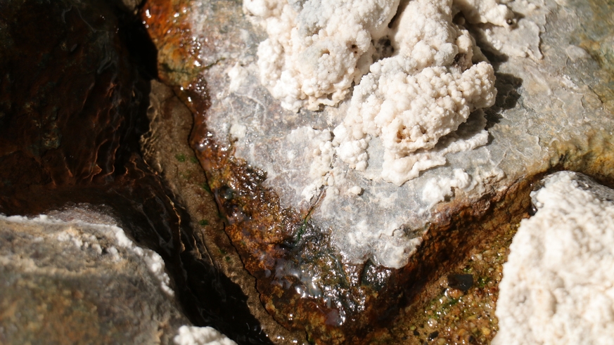 【冬旅しまね】【-竹-大国主会席】島根の四季を感じる会席を心ゆくまで★　大和しじみの酒蒸し付