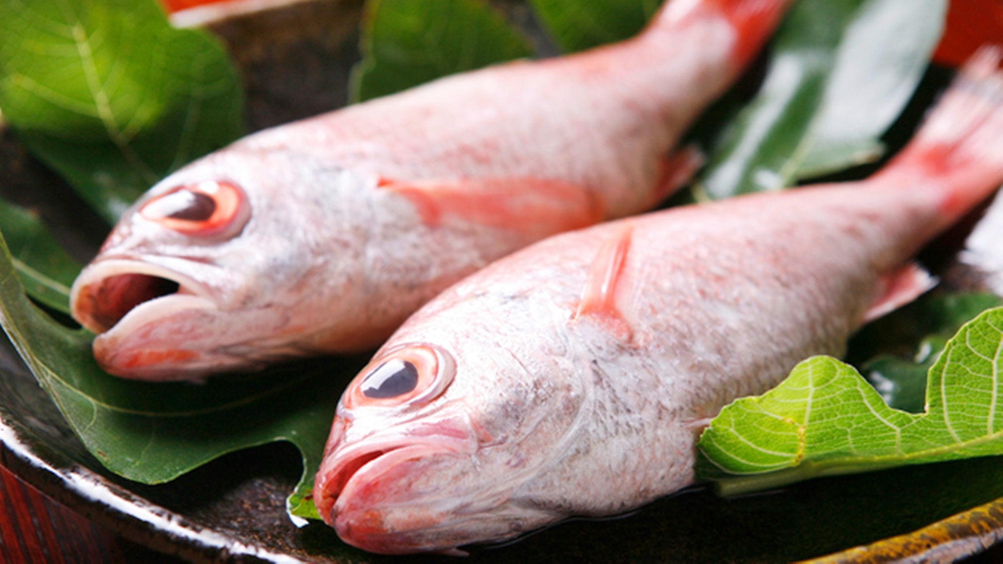 【冬旅しまね】【-竹-大国主会席】島根の四季を感じる会席を心ゆくまで★　大和しじみの酒蒸し付