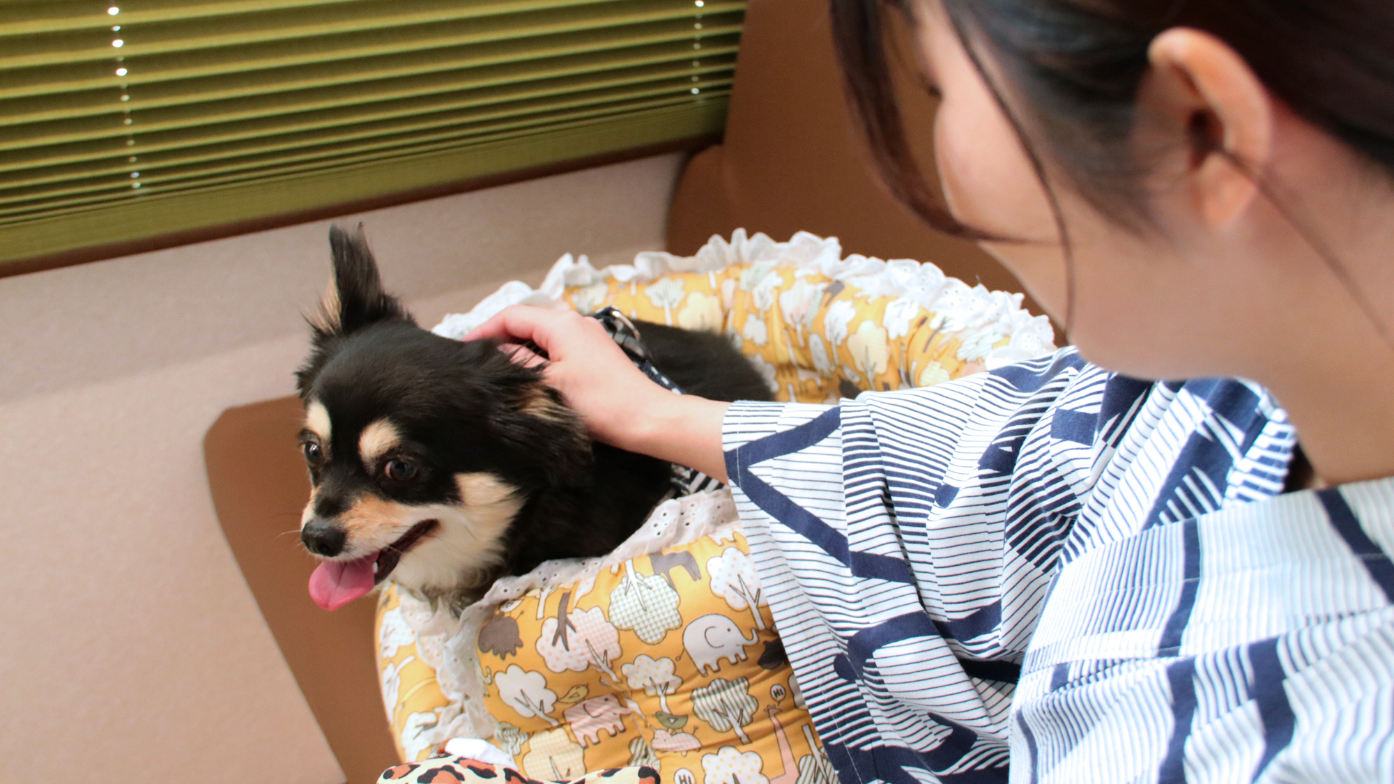 愛犬と一緒にお部屋でお過ごしいただけます