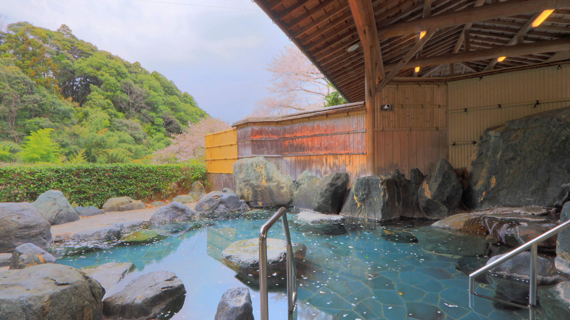 桜吹雪舞う温泉もこの季節だけの風情がありますよ！