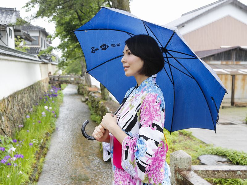雨の寺町通り3代のご城主の菩提寺が並びます。