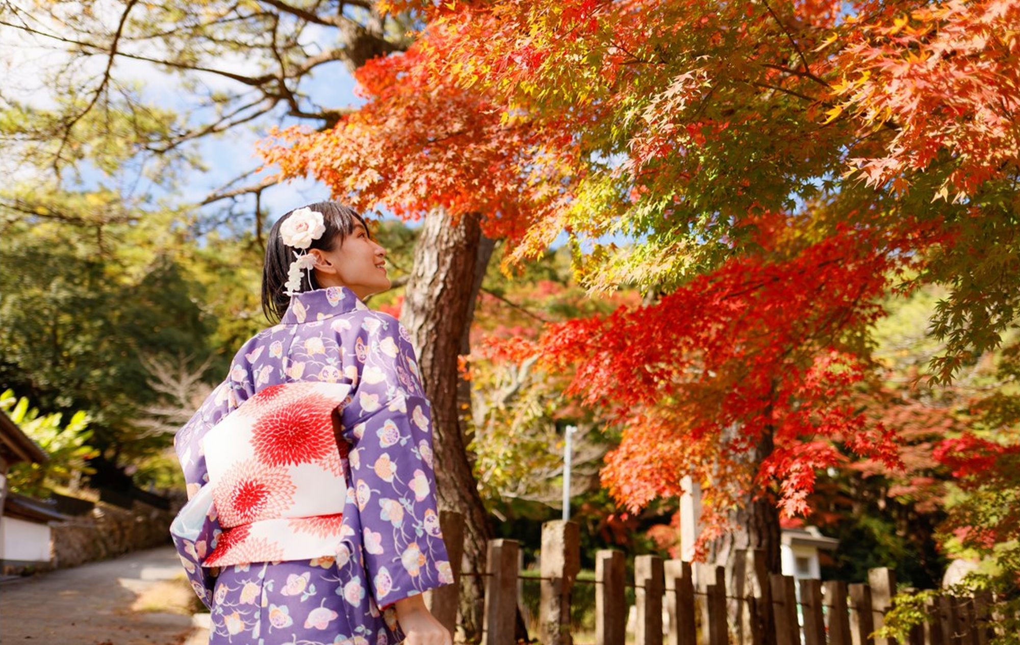 寺町通り　紅葉