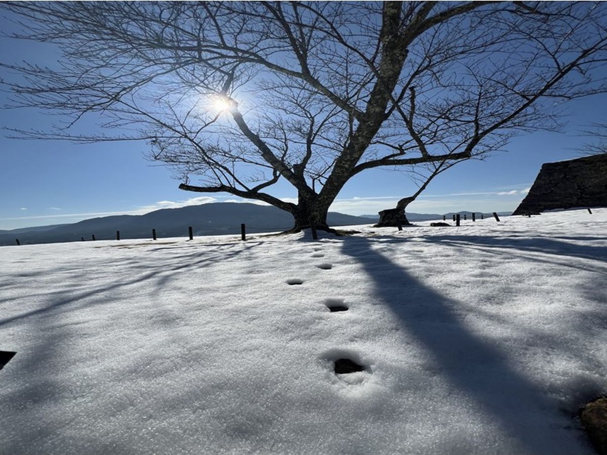 竹田城鹿の足跡