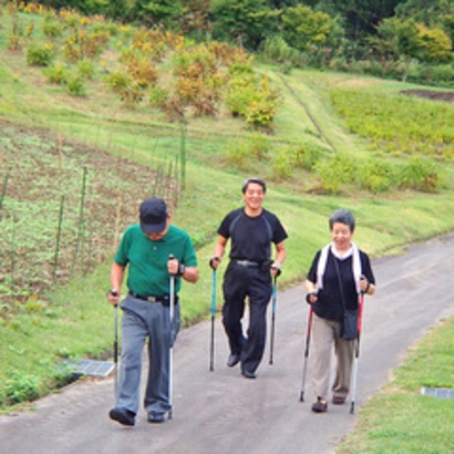 *【早朝散歩】ちょっと早起きして、里山を散策。その季節ごとにオススメの場所へご案内します。