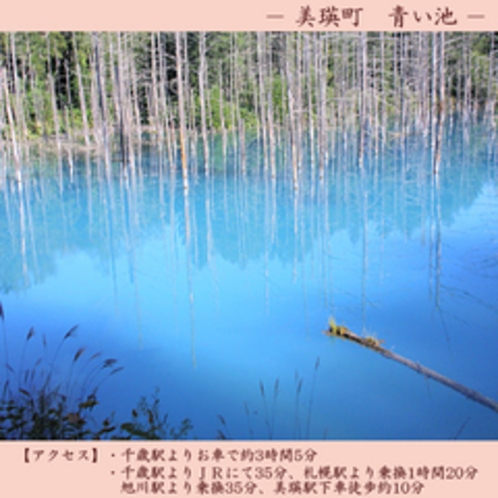 【観光】　青い池