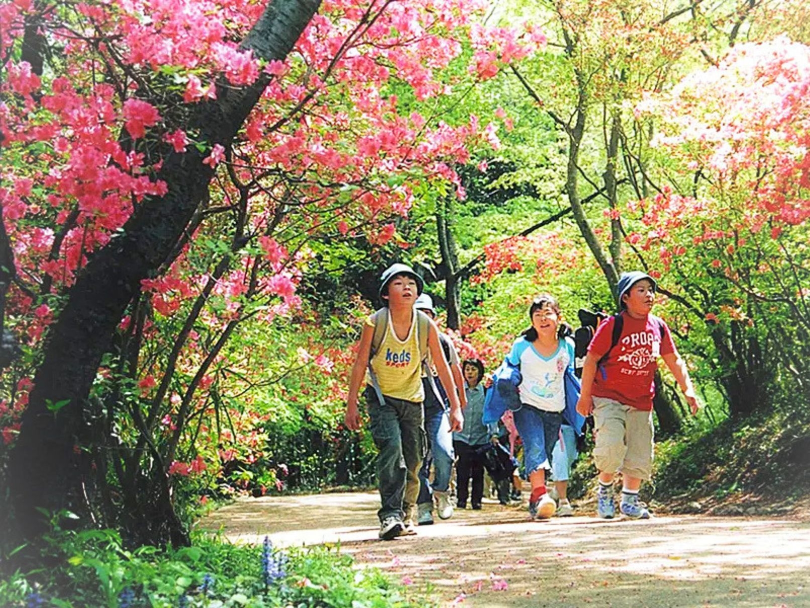 ★「奥むさしゆったり山歩き満喫宿泊プラン」■1泊2食付きプラン　夕食は落ち着いた雰囲気での和食会席！