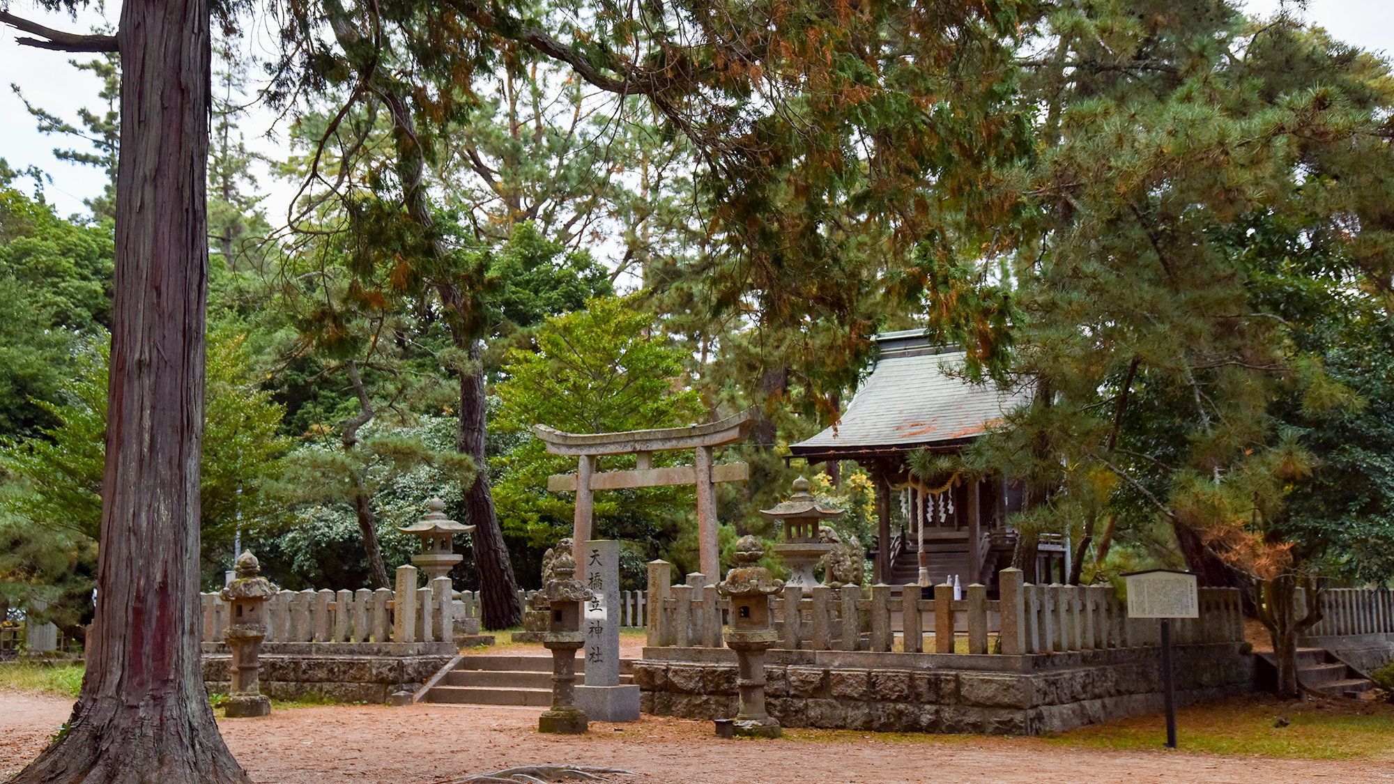 *［周辺観光］天橋立神社（当館より車で約5分）