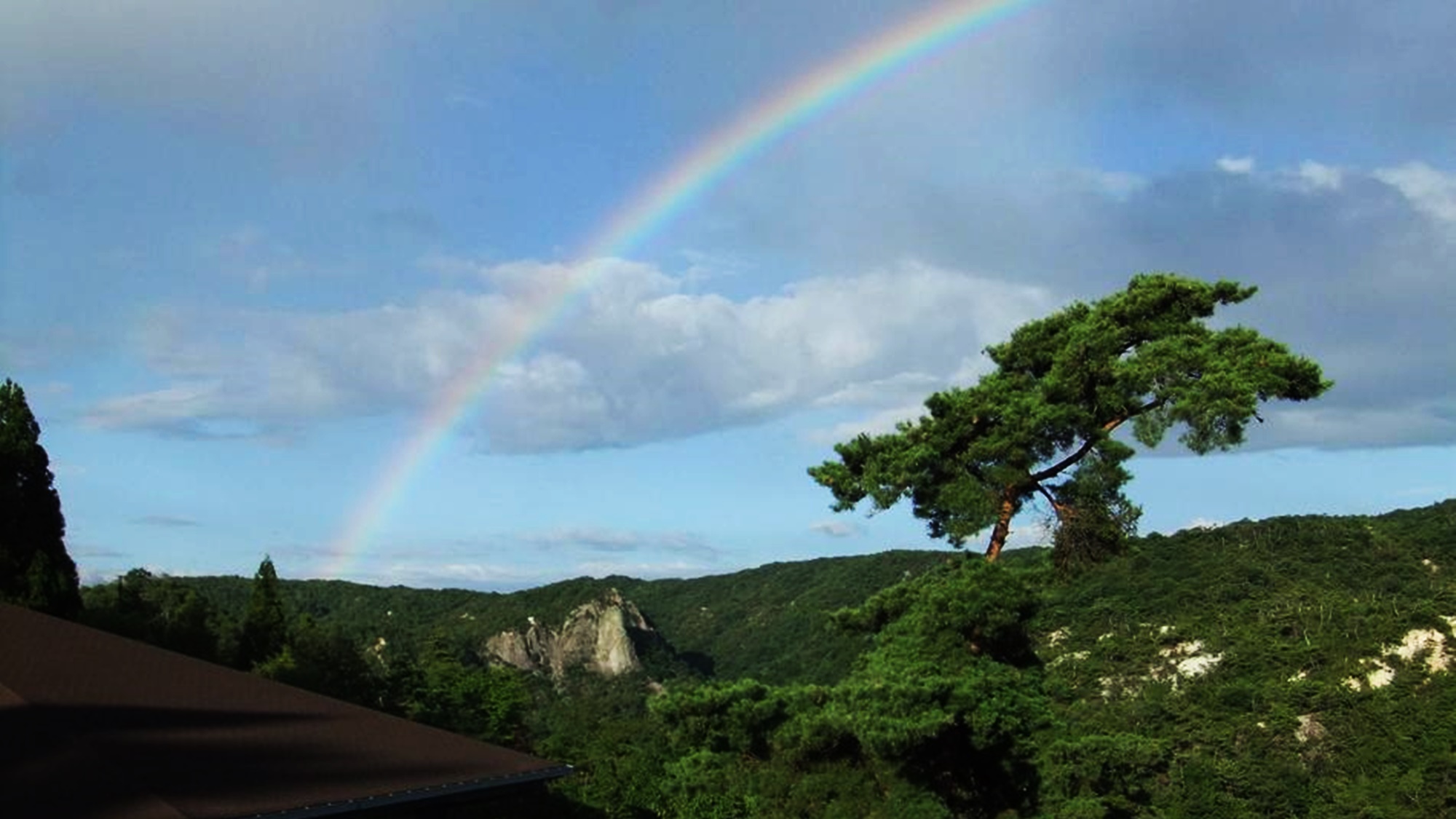 *【構内の景色】四季折々の自然をお楽しみ下さい♪