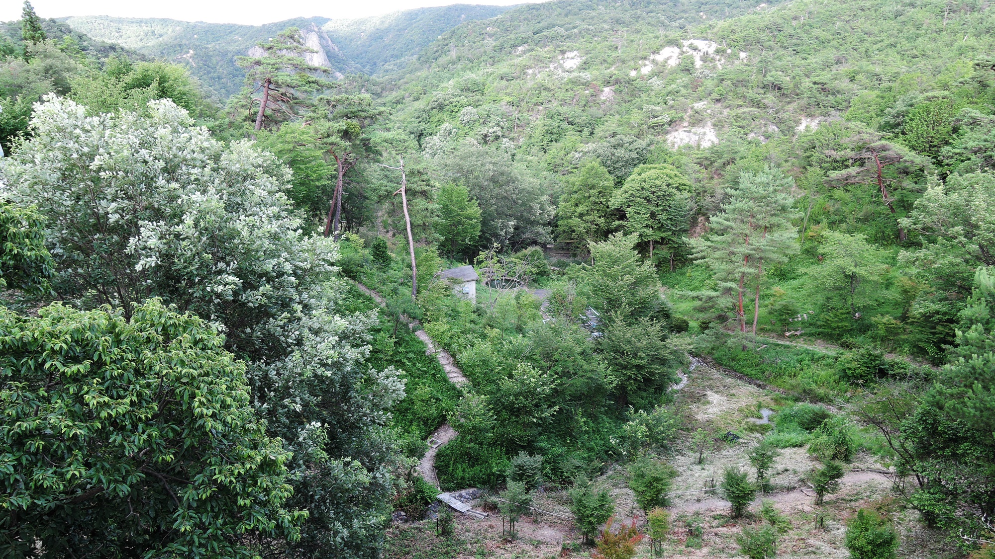 *【本館からの景色】ハイキングに人気の北六甲の麓「太陽と緑の道」の途中にございます