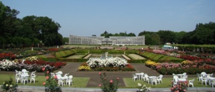 神代植物公園