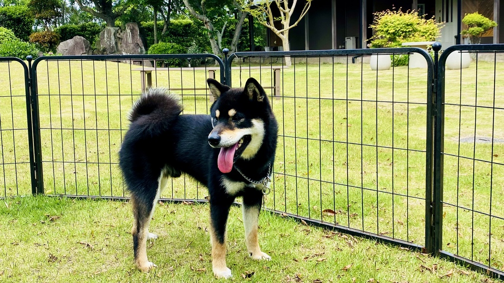 ★ペット同宿【四季を味わう会席プラン】迷ったらコレ！当館自慢のスタンダード2食付き