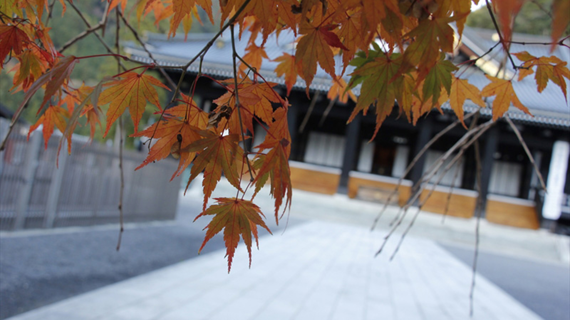 観光◆久遠寺～紅葉と本堂。日本の秋を感じてください～山本坊より車で5分