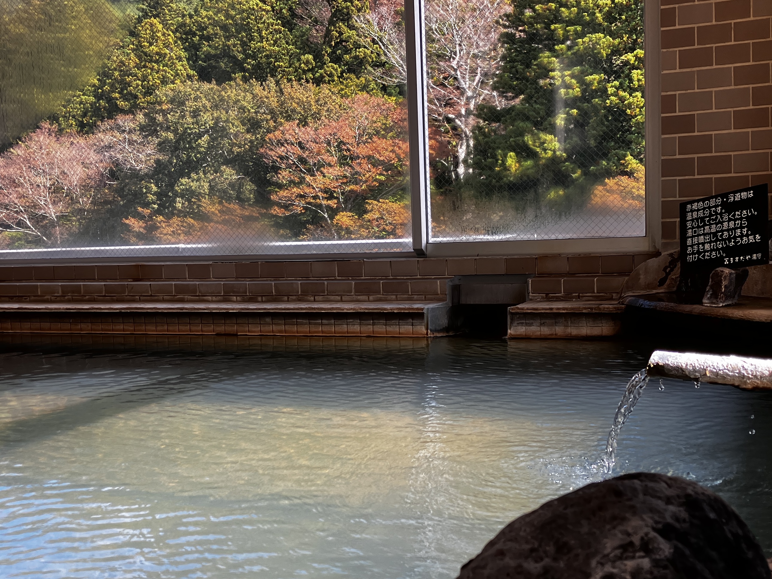 塩原温泉 眺望露天自家源泉の宿 ますだや（文豪の宿会） - 写真 24