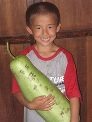 ひょうたんの実