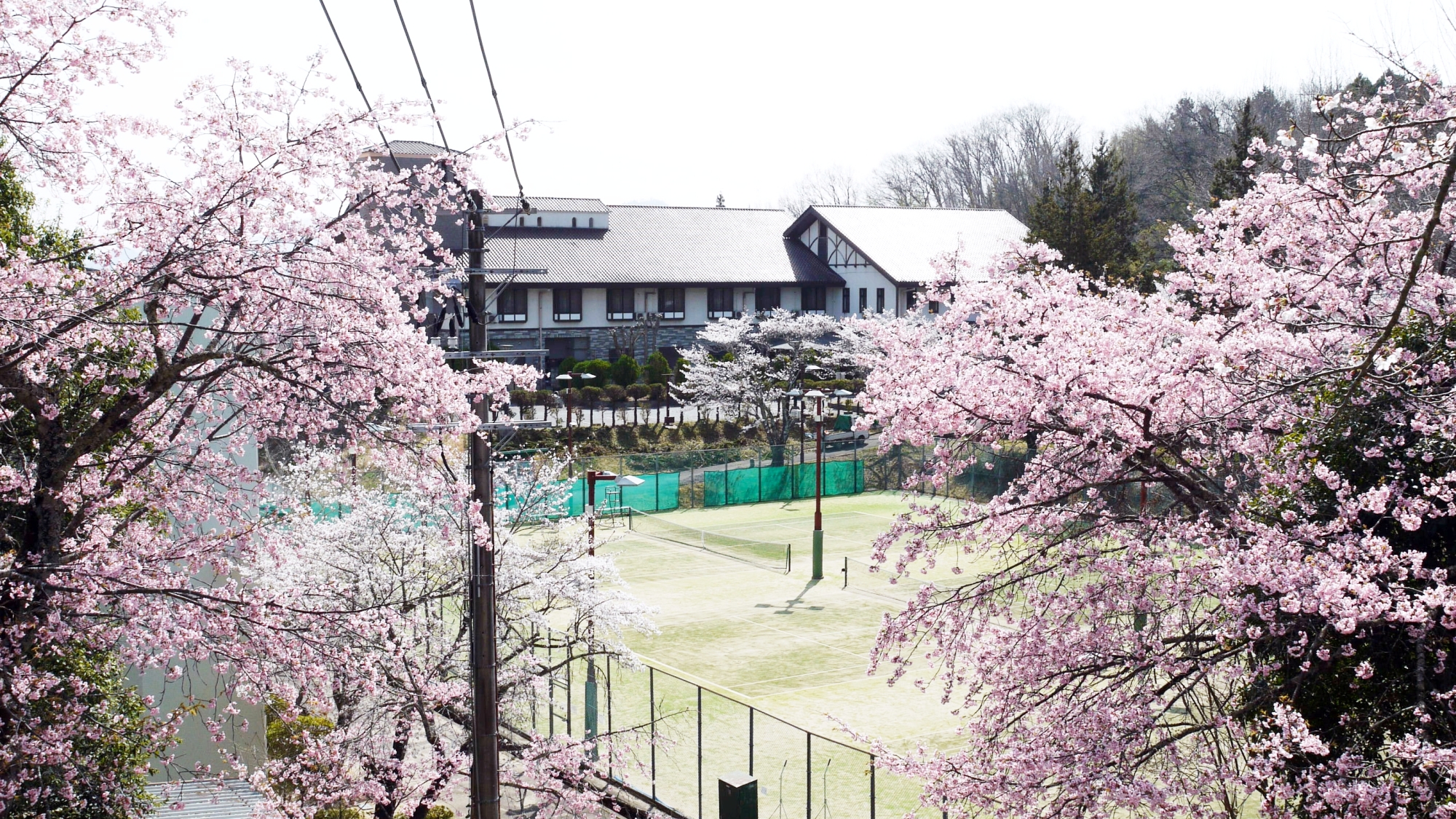 *【春】周辺には桜が咲き誇り、春のお花見を満喫できます。