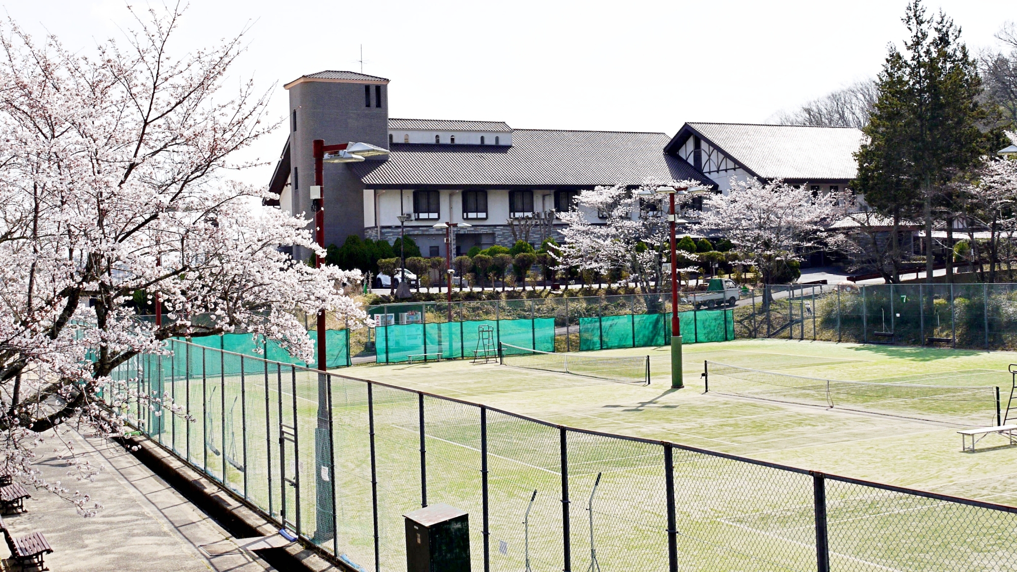 *【春】当館周辺には桜の木があり、お花見も楽しめます。