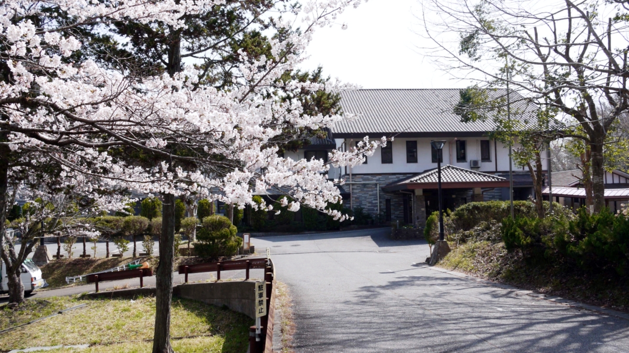 *【春】春は周辺の桜が見頃。お花見散策にぴったりです。