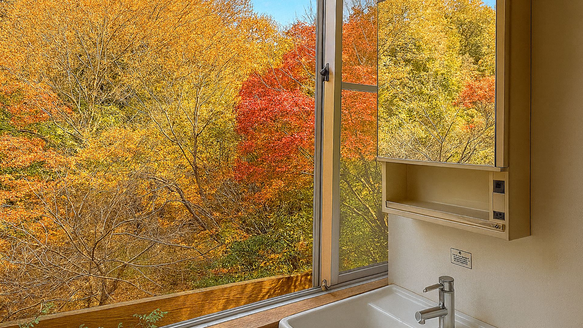 ■窓からは紅葉の景色が見られます※一部の客室では見られません