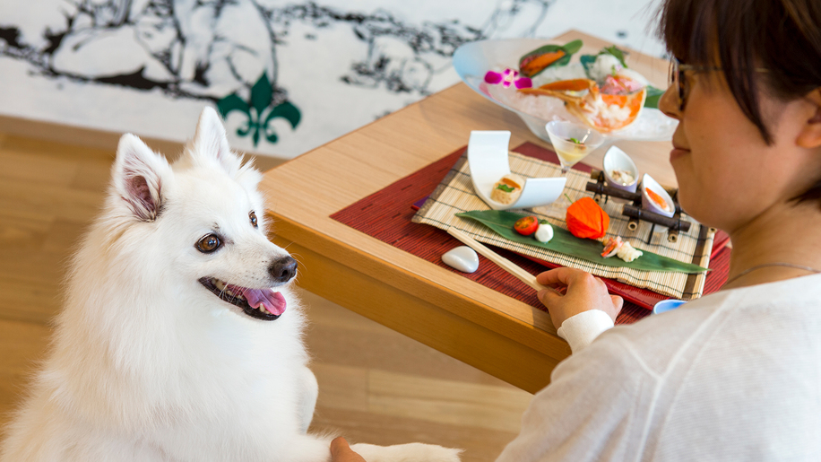 【早期予約60日前】＜大切なワンちゃんと一緒＞ご夕食もご家族そろって（夕食：ウィズ/朝食：ブッフェ）