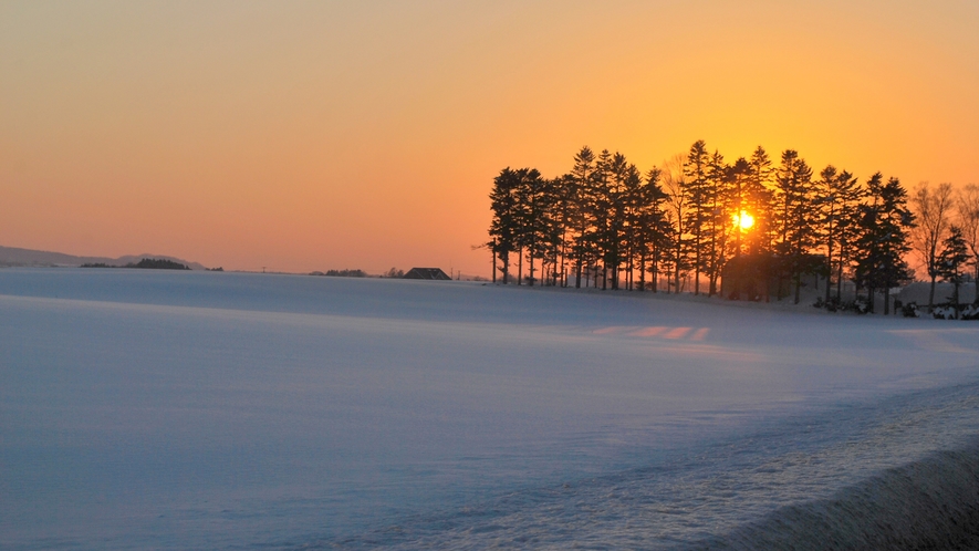 【冬の洞爺湖】弱々しく暮れる夕陽に照らされる雪原。