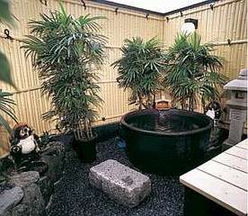 露天風呂・昼人気、陽の中での湯あみに御浸り下さい