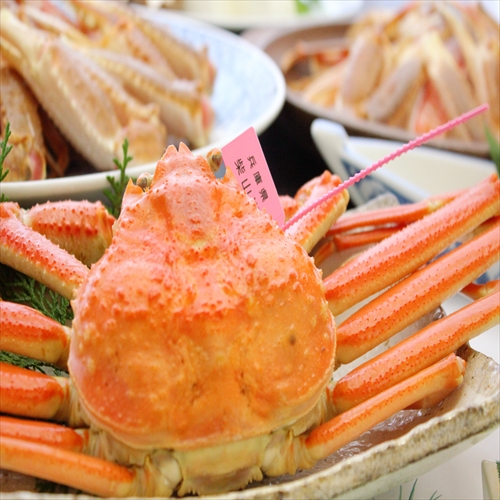 【タグ付き茹で松葉ガニ】シンプルに美味しい！茹で蟹をどうぞ♪