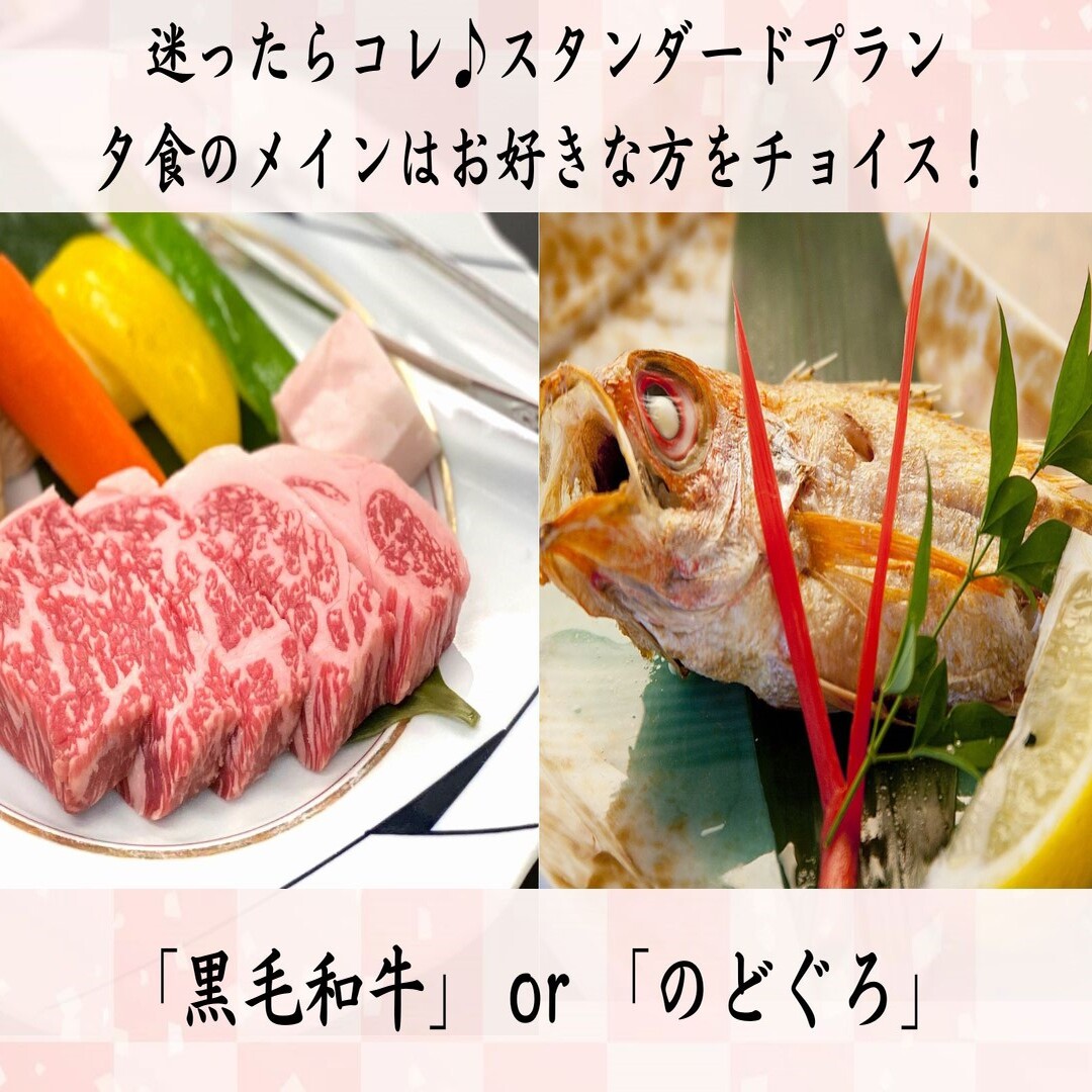 春／基本 プラン