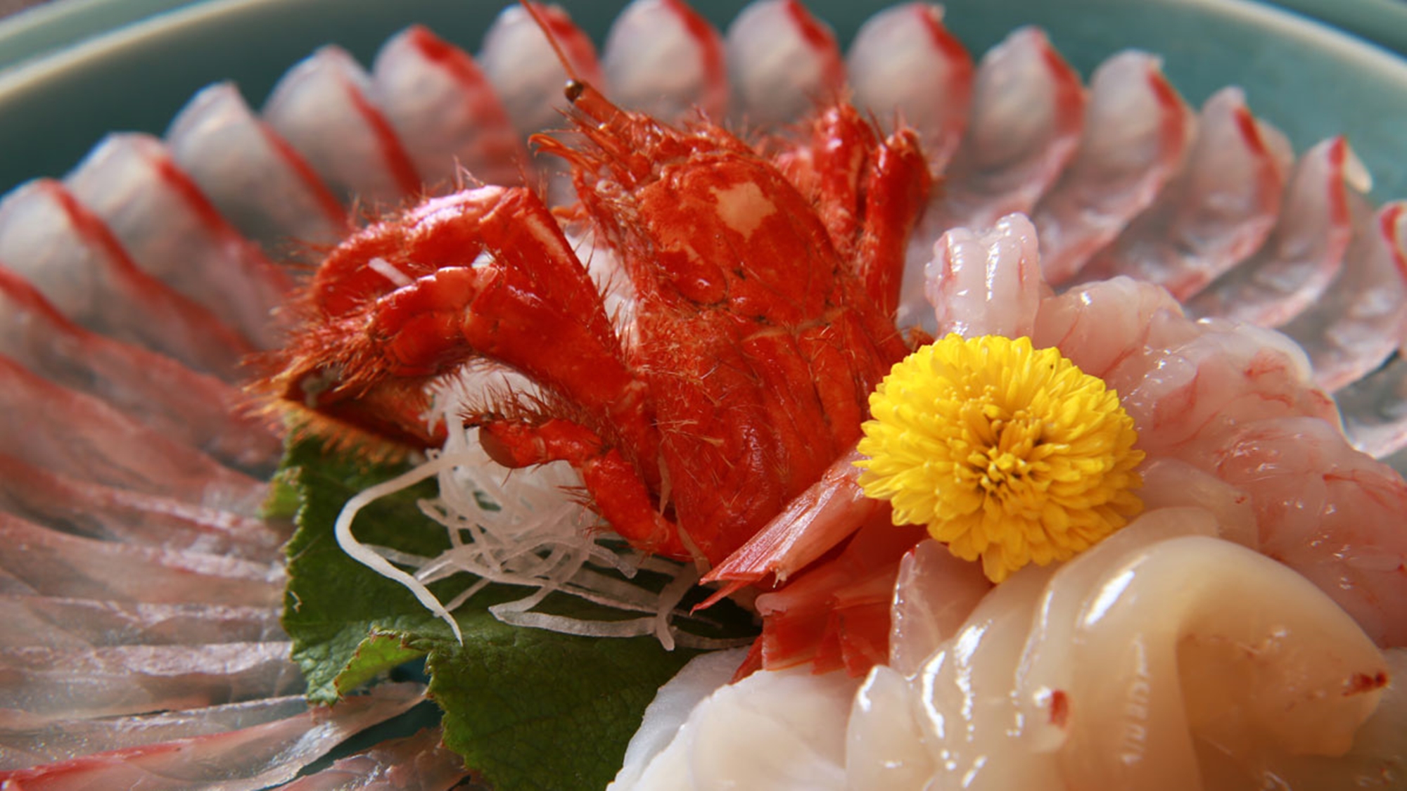 割烹の宿 美鈴 写真 動画 楽天トラベル 割烹の宿 美鈴 写真 動画 楽天トラベル