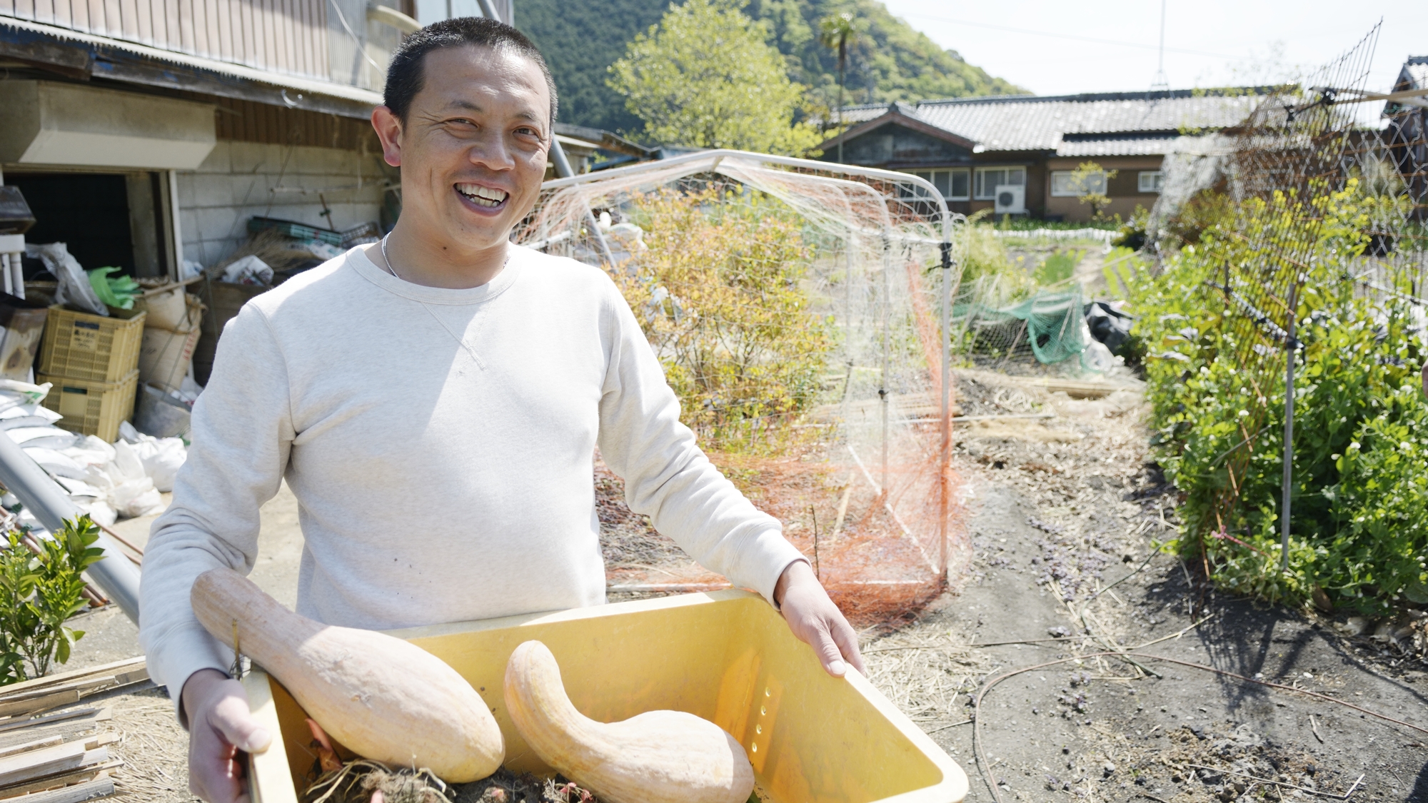 *拘ったお野菜の収穫♪いつでも最高の食材を一番美味しい食べ方でお客様にお出ししております。