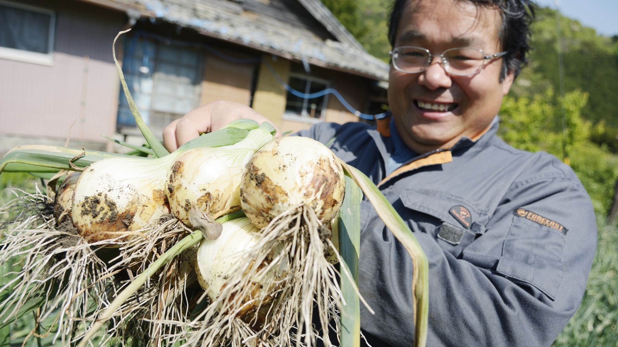 *拘ったお野菜の収穫♪いつでも最高の食材を一番美味しい食べ方でお客様にお出ししております。