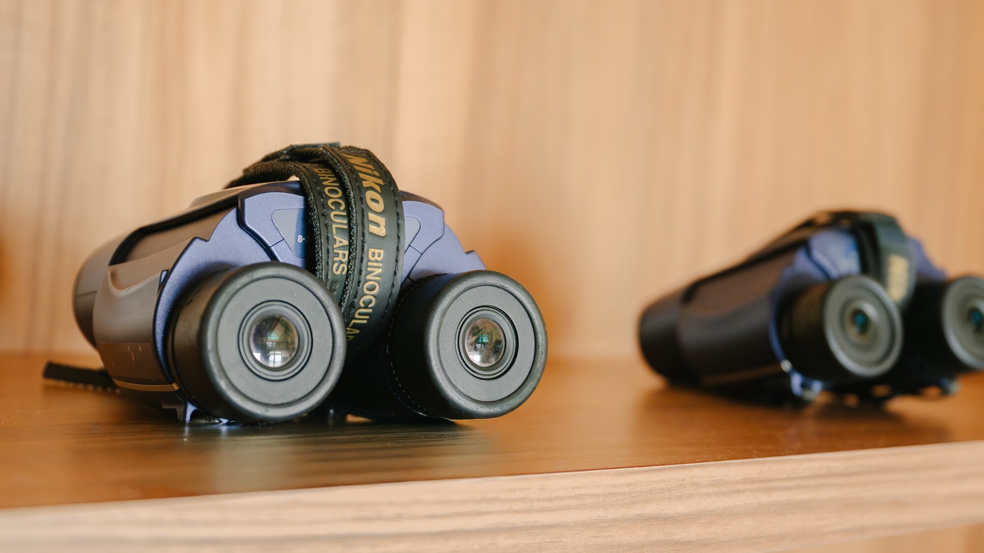 ファンにはたまらない、特別な時間をお過ごしください