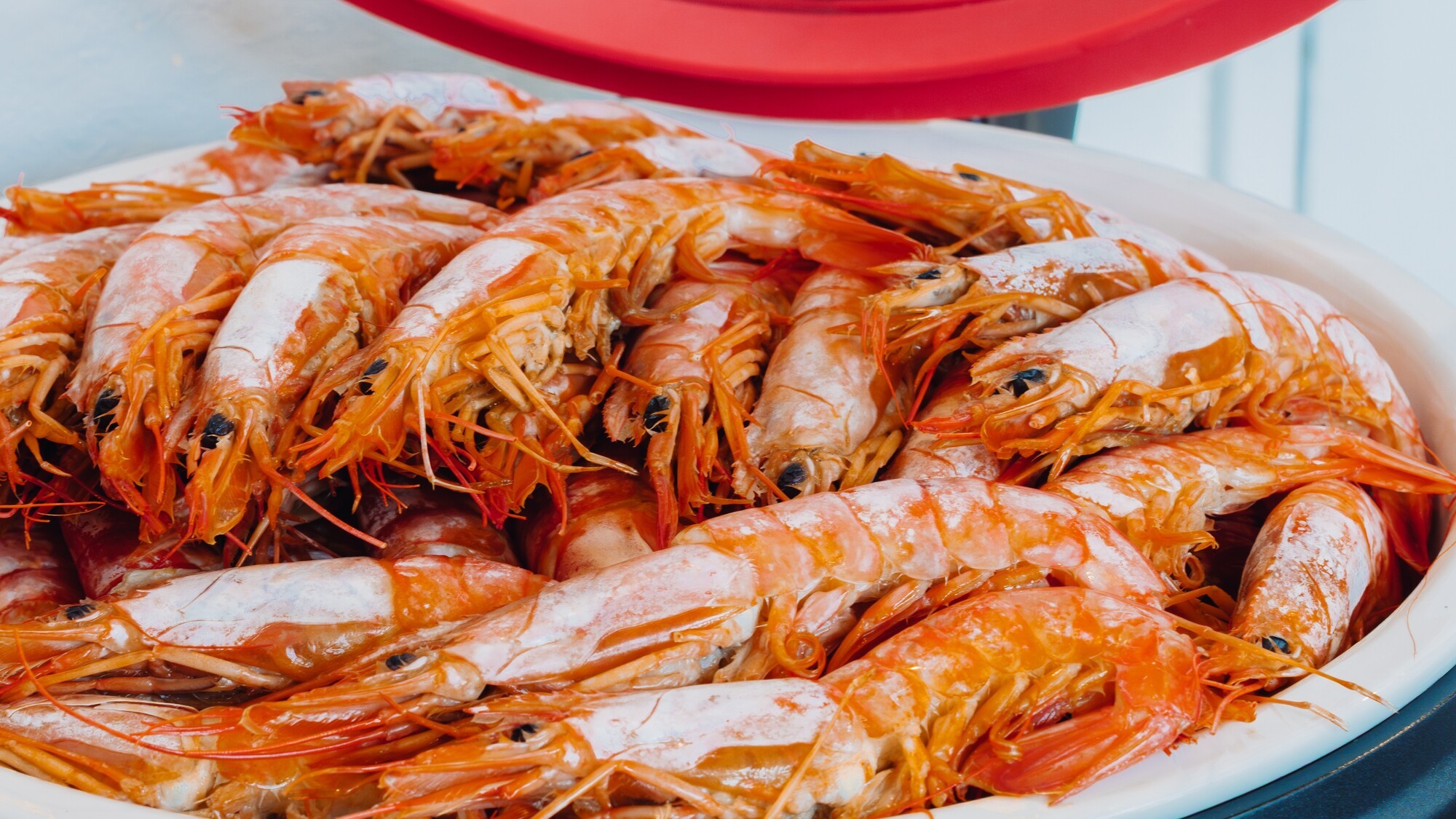 豪華絢爛！赤海老島マース焼き