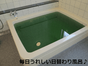 写真6
