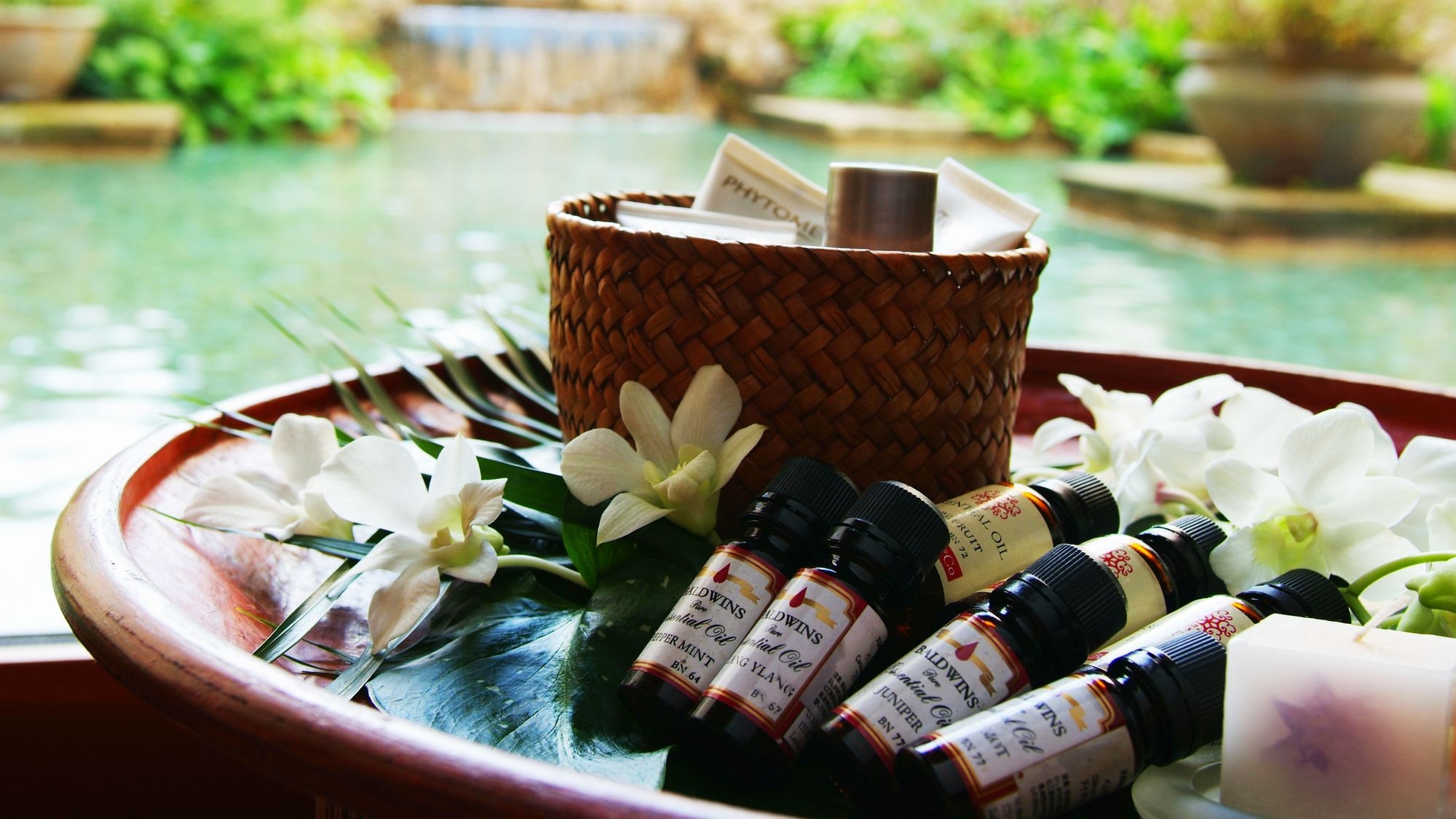 【1日3組様限定】《1名様分のリラクゼーションサロン風香50分コース付》冬季・癒しプラン♪夕食個室食