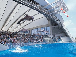 【マリンワールド海の中道】