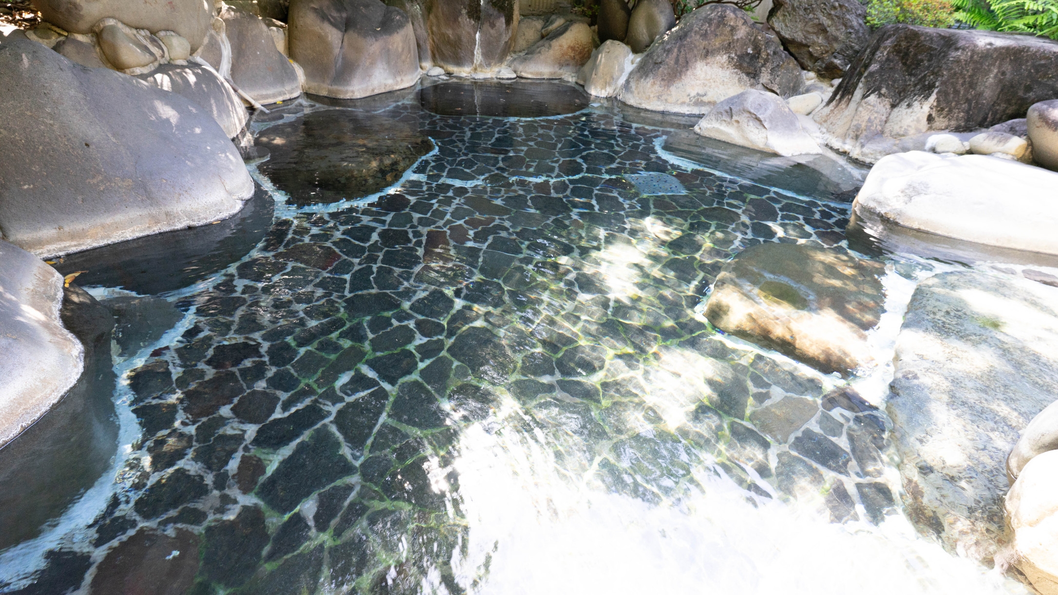 【レトロ×モダンな温泉旅館】良泉質でととのう肌、源泉かけ流し温泉を愉しむスタンダードプラン【朝食付】