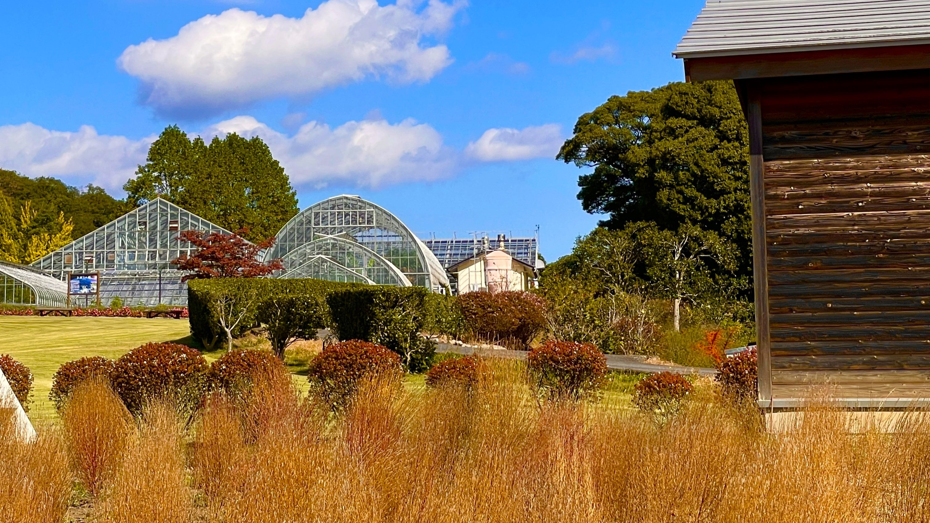 【いわき市フラワーセンター（秋）】入園無料！お食事処、子供が遊べる遊具も充実。（当館から車で約15分