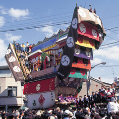 5月3日〜5日まで行われる【日本でも有数の曳山行事】 青柏祭