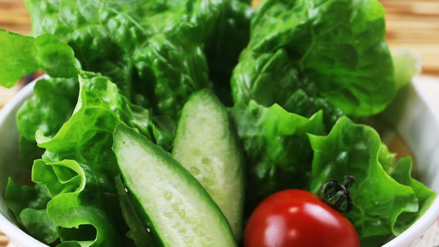 自家栽培の野菜はとれたてをサラダで♪