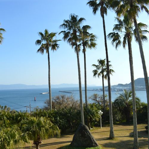 写真3