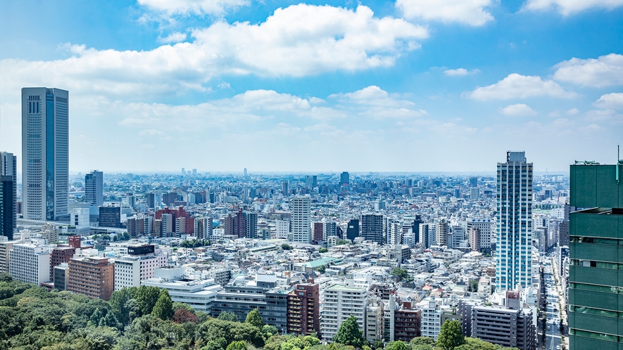 お部屋からの景観