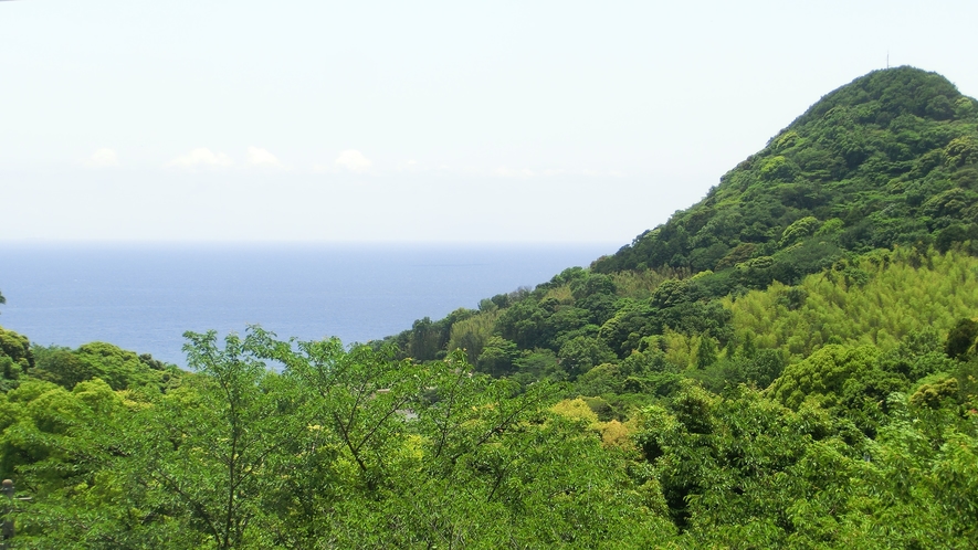 当館からの景色