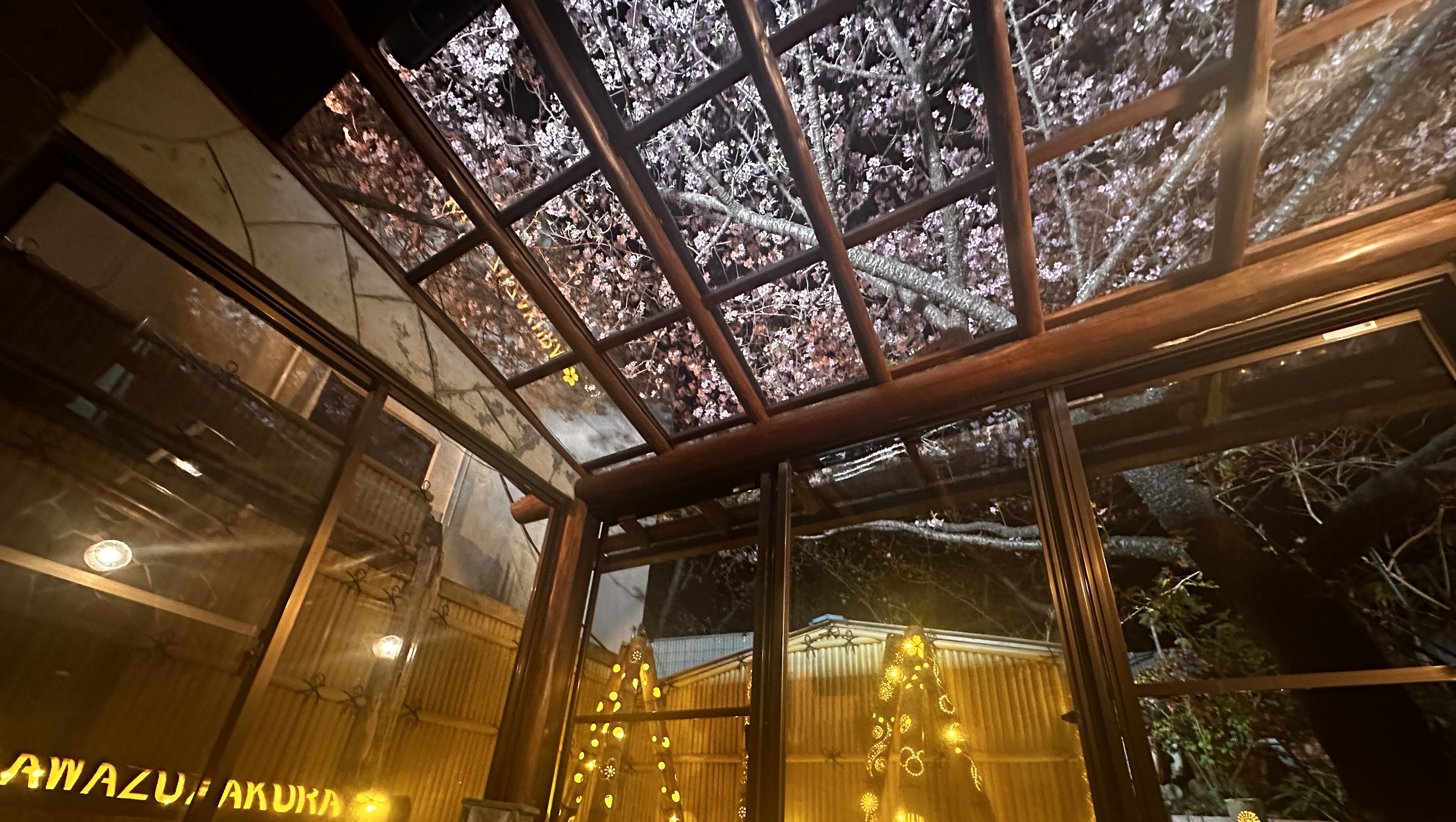 貸切温泉【SAKURA】夜桜と竹灯籠のコラボライトアップ